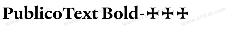 PublicoText Bold字体转换
